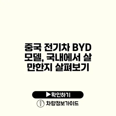 중국 전기차 BYD 모델, 국내에서 살 만한지 살펴보기