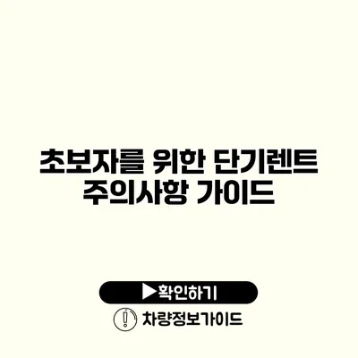 초보자를 위한 단기렌트 주의사항 가이드