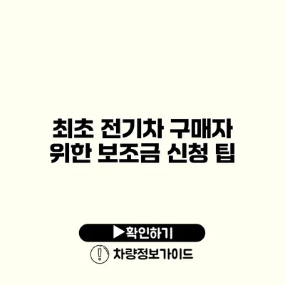 최초 전기차 구매자 위한 보조금 신청 팁