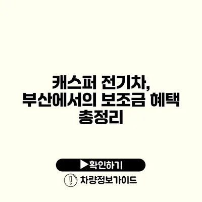 캐스퍼 전기차, 부산에서의 보조금 혜택 총정리