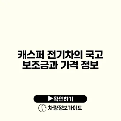 캐스퍼 전기차의 국고 보조금과 가격 정보