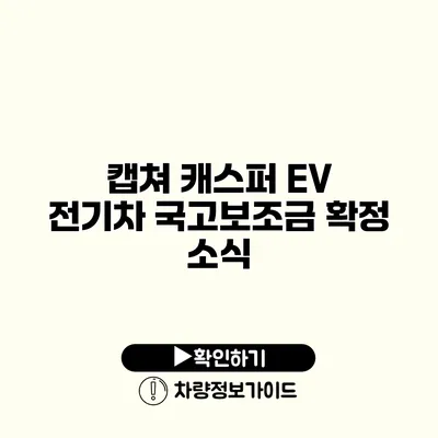 캡쳐 캐스퍼 EV 전기차 국고보조금 확정 소식