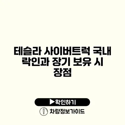 테슬라 사이버트럭 국내 락인과 장기 보유 시 장점