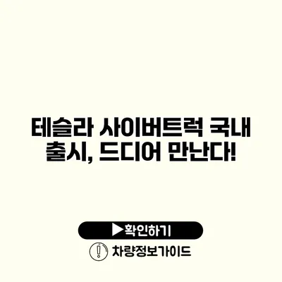 테슬라 사이버트럭 국내 출시, 드디어 만난다!