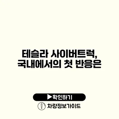 테슬라 사이버트럭, 국내에서의 첫 반응은?