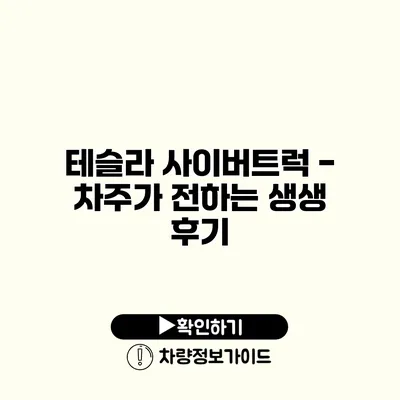 테슬라 사이버트럭 - 차주가 전하는 생생 후기