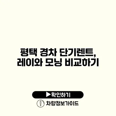 평택 경차 단기렌트, 레이와 모닝 비교하기