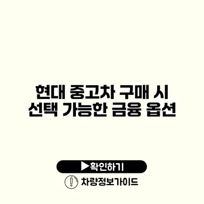 현대 중고차 구매 시 선택 가능한 금융 옵션