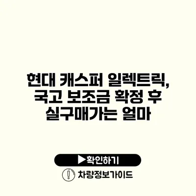 현대 캐스퍼 일렉트릭, 국고 보조금 확정 후 실구매가는 얼마?