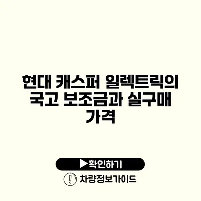 현대 캐스퍼 일렉트릭의 국고 보조금과 실구매 가격