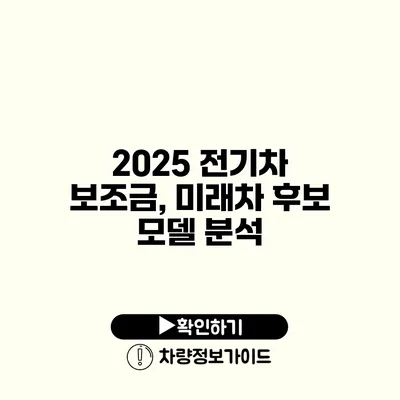 2025 전기차 보조금, 미래차 후보 모델 분석