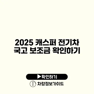 2025 캐스퍼 전기차 국고 보조금 확인하기