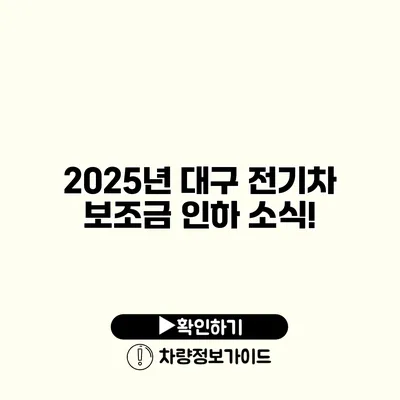2025년 대구 전기차 보조금 인하 소식!