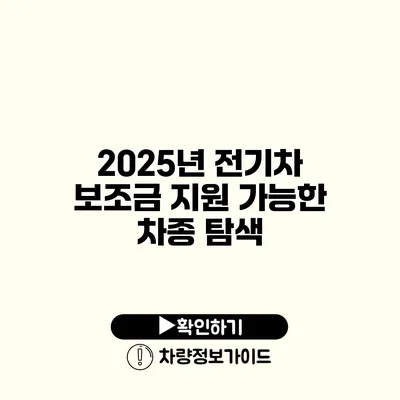 2025년 전기차 보조금 지원 가능한 차종 탐색