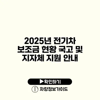 2025년 전기차 보조금 현황 국고 및 지자체 지원 안내