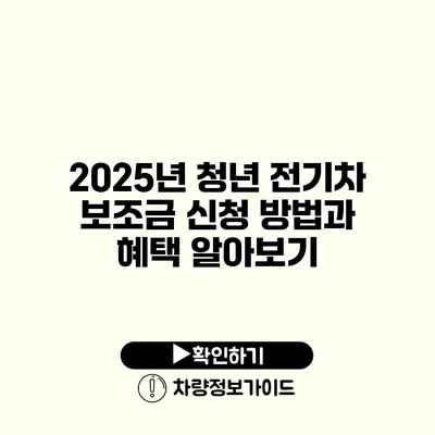 2025년 청년 전기차 보조금 신청 방법과 혜택 알아보기