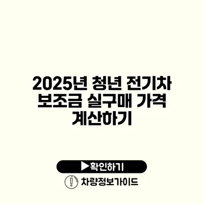 2025년 청년 전기차 보조금 실구매 가격 계산하기