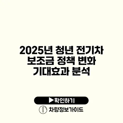 2025년 청년 전기차 보조금 정책 변화 기대효과 분석