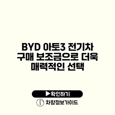 BYD 아토3 전기차 구매 보조금으로 더욱 매력적인 선택