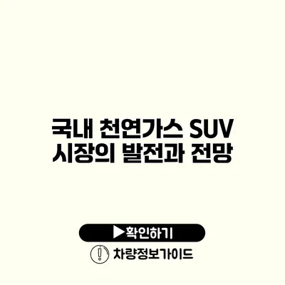 국내 천연가스 SUV 시장의 발전과 전망