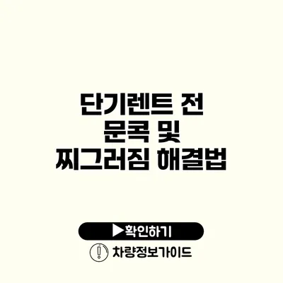 단기렌트 전 문콕 및 찌그러짐 해결법