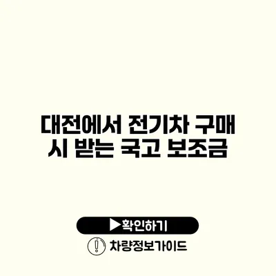 대전에서 전기차 구매 시 받는 국고 보조금