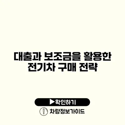 대출과 보조금을 활용한 전기차 구매 전략 대출과 보조금을 활용한 전기차 구매 전략