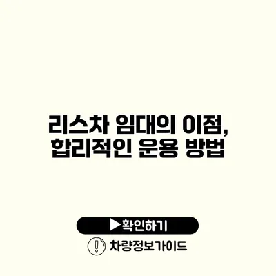 리스차 임대의 이점, 합리적인 운용 방법