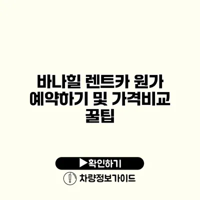 바나힐 렌트카 원가 예약하기 및 가격비교 꿀팁