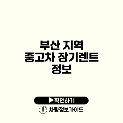 부산 지역 중고차 장기렌트 정보