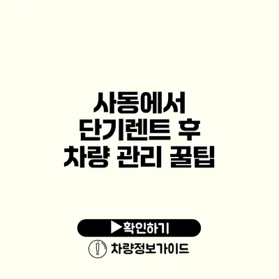 사동에서 단기렌트 후 차량 관리 꿀팁