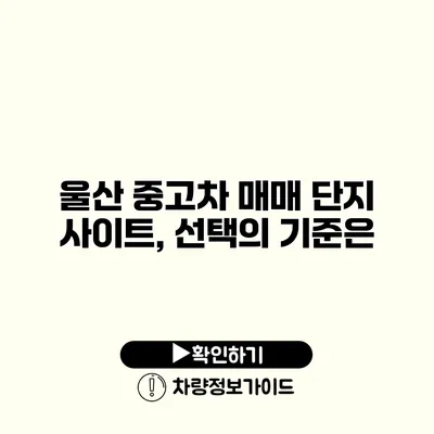 울산 중고차 매매 단지 사이트, 선택의 기준은?