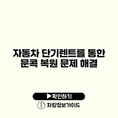 자동차 단기렌트를 통한 문콕 복원 문제 해결