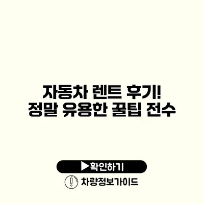자동차 렌트 후기! 정말 유용한 꿀팁 전수