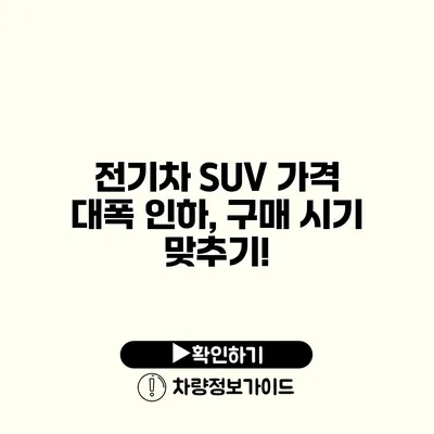 전기차 SUV 가격 대폭 인하, 구매 시기 맞추기!