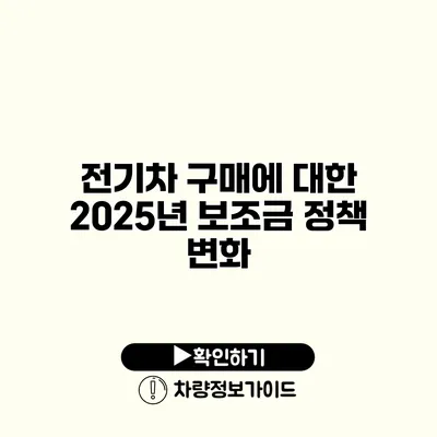 전기차 구매에 대한 2025년 보조금 정책 변화