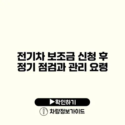 전기차 보조금 신청 후 정기 점검과 관리 요령
