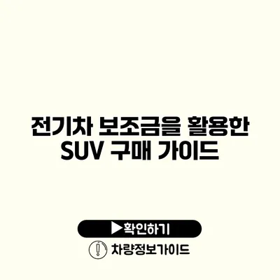 전기차 보조금을 활용한 SUV 구매 가이드