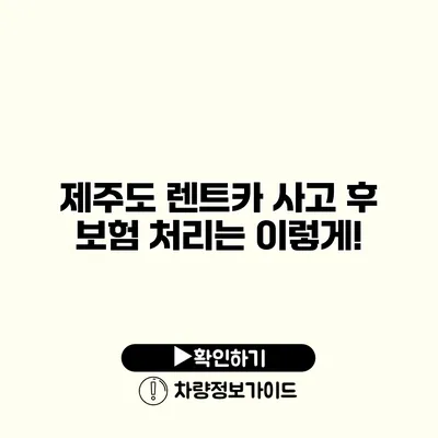 제주도 렌트카 사고 후 보험 처리는 이렇게!
