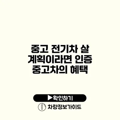 중고 전기차 살 계획이라면? 인증 중고차의 혜택