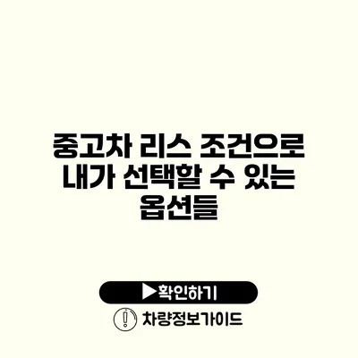 중고차 리스 조건으로 내가 선택할 수 있는 옵션들