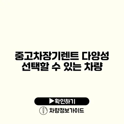 중고차장기렌트 다양성 선택할 수 있는 차량