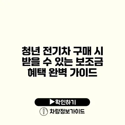 청년 전기차 구매 시 받을 수 있는 보조금 혜택 완벽 가이드