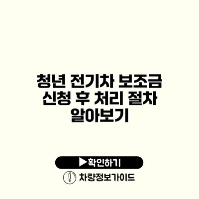 청년 전기차 보조금 신청 후 처리 절차 알아보기