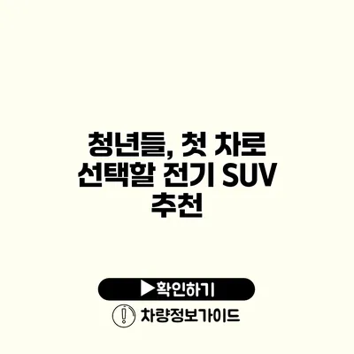 청년들, 첫 차로 선택할 전기 SUV 추천