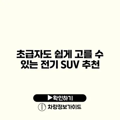 초급자도 쉽게 고를 수 있는 전기 SUV 추천