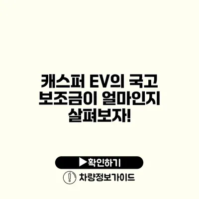 캐스퍼 EV의 국고 보조금이 얼마인지 살펴보자!