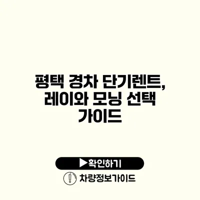 평택 경차 단기렌트, 레이와 모닝 선택 가이드