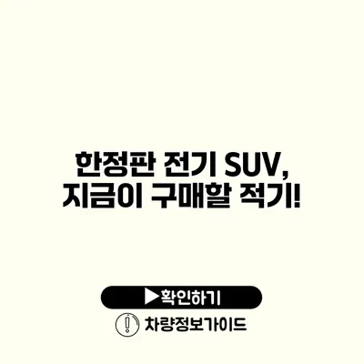 한정판 전기 SUV, 지금이 구매할 적기!