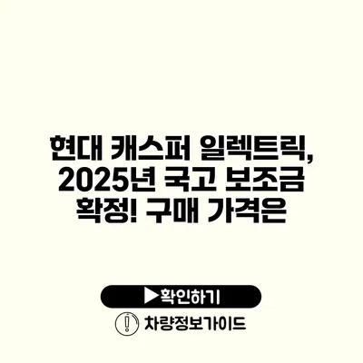 현대 캐스퍼 일렉트릭, 2025년 국고 보조금 확정! 구매 가격은?